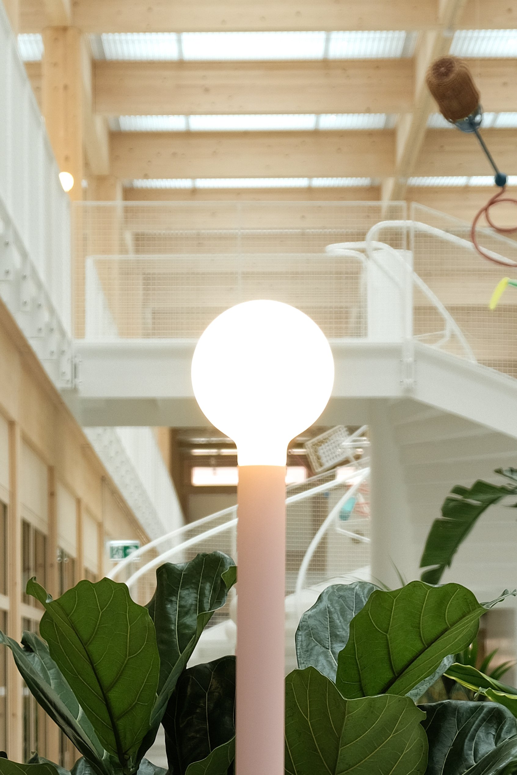 Eins und Viele_Campus Wattwil_Fotos_Soma Yamamoto:Gunz&Künzle_2.jpg