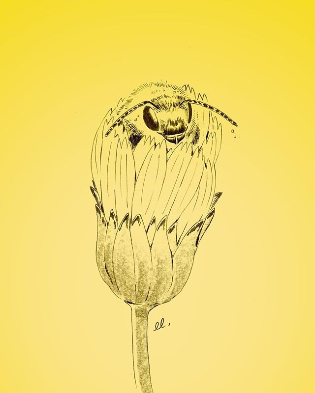 To busy to go outside, bee safe ! 🐝🌸🏠
.
.
.
#illustratorofinstagram #illustratorsofinstagram #illustratorlife #illustratoroninstagram #illustrators #illustratoress #illustrationdaily #instaartwork #drawing #handdrawnart #pencilsketches #sketcheson
