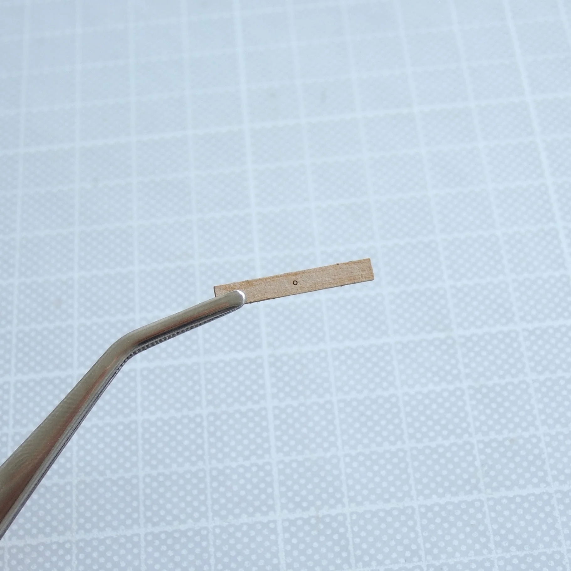 ply assem 04.jpg