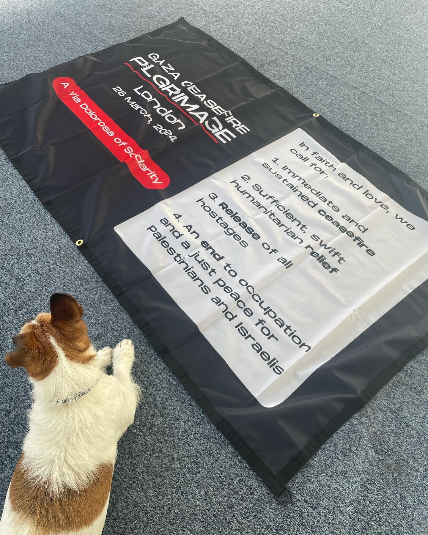 Banner has arrived just in time! (Dog showing solidarity but will not be joining us tomorrow.) #GCPilgrimages #Londonwalksforpeace #ceasefirenow #embodyingpeace #walkingprayer