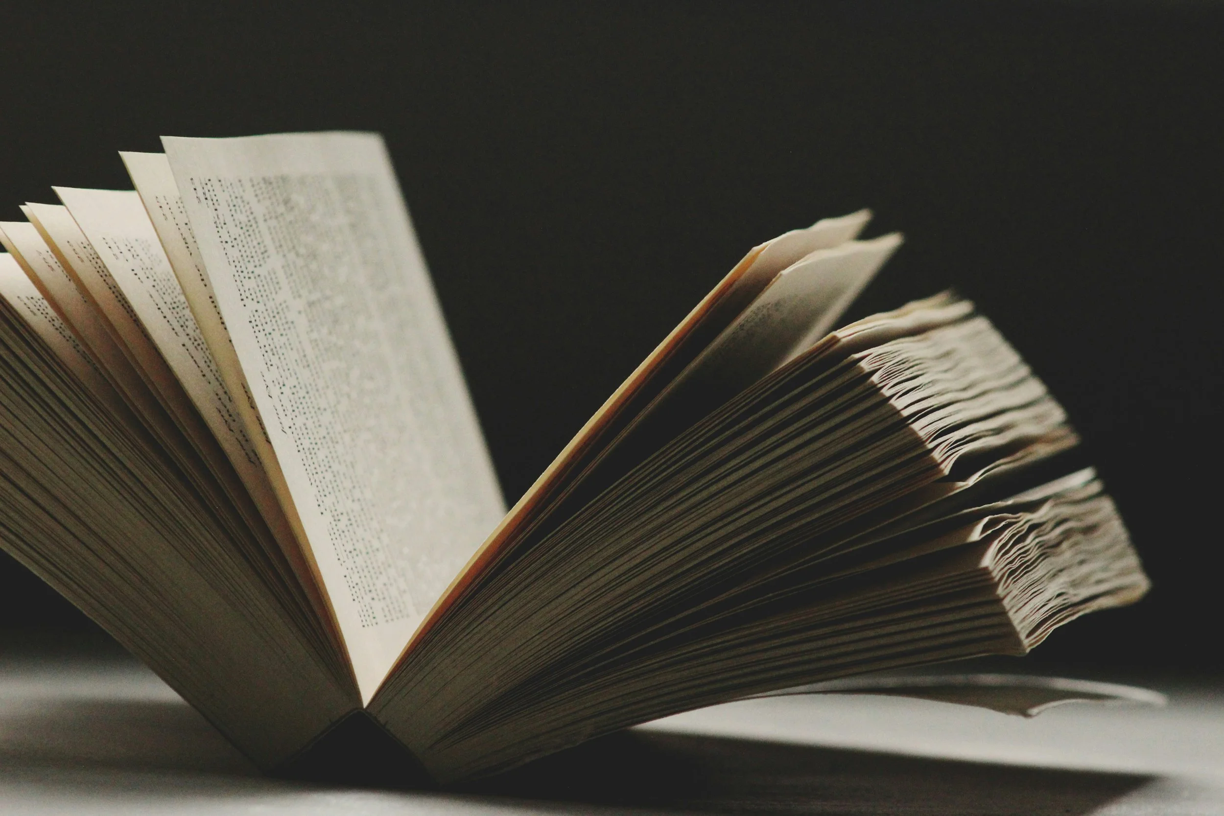 Bible Book Club