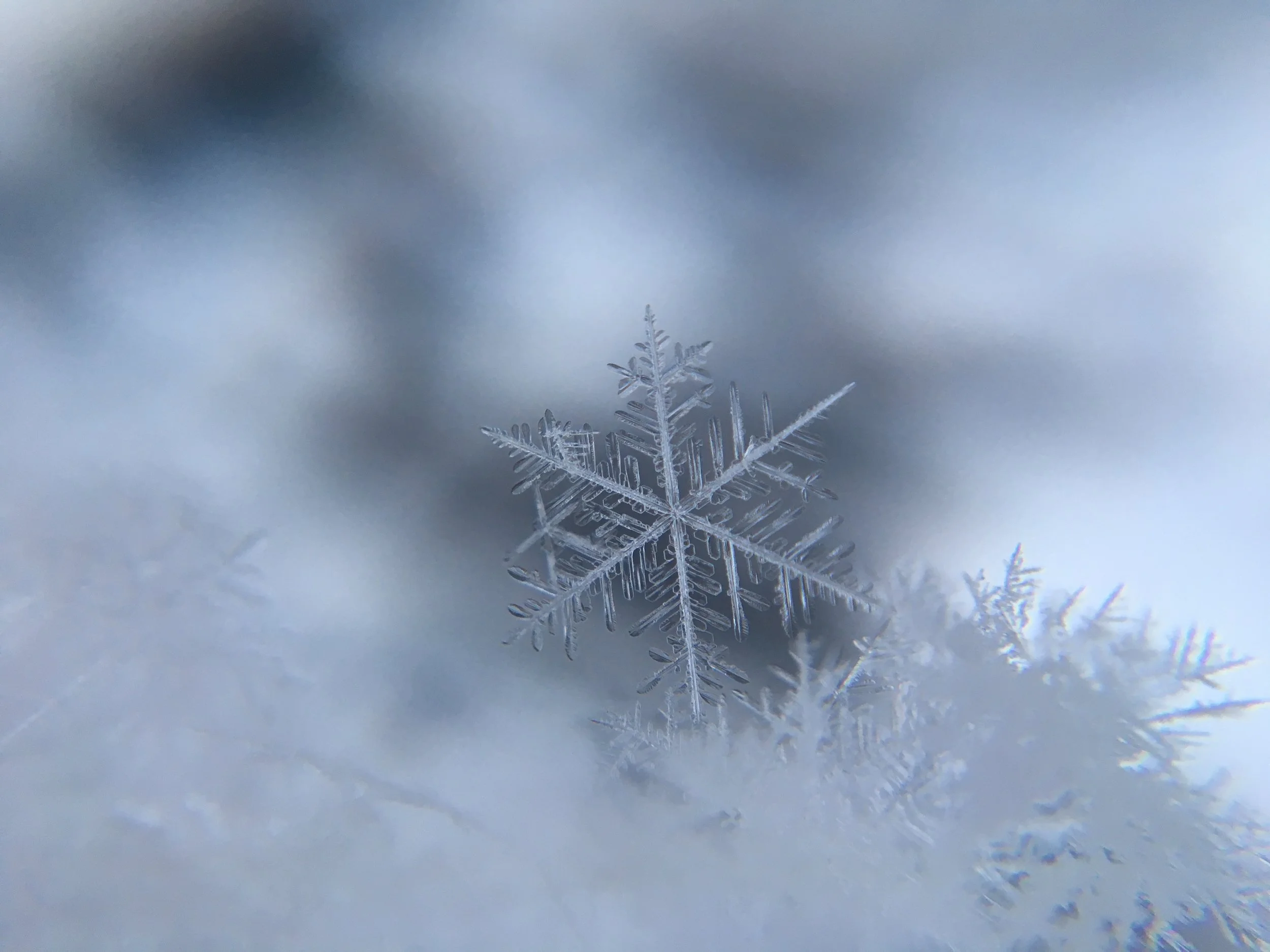Frozen Oasis Winter Retreat
