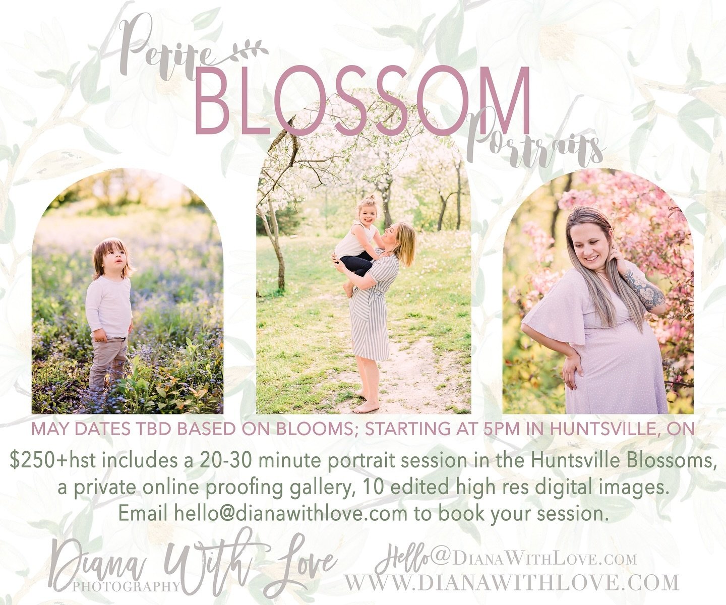 Now Booking Petite Blossom Portraits!  Super limited availability for Monday May 20th and Thursday May 23. Link in bio to book!

Blossom Report:
The forget me not field is looking stunning and full.  This year&rsquo;s blossoms are open and about 60-7
