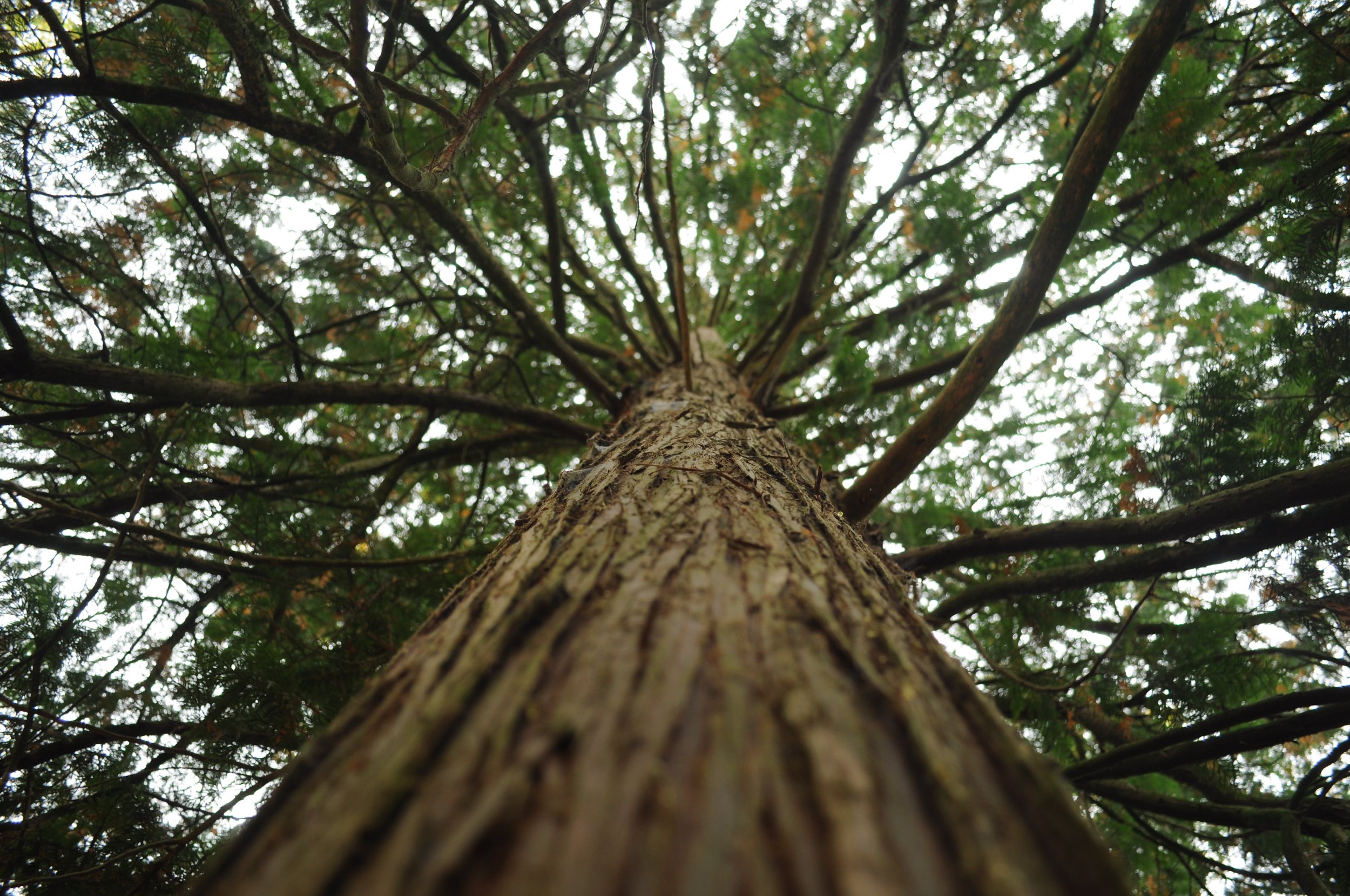 wouter-van-der-velde-McPwA0W2NVs-unsplash.jpeg