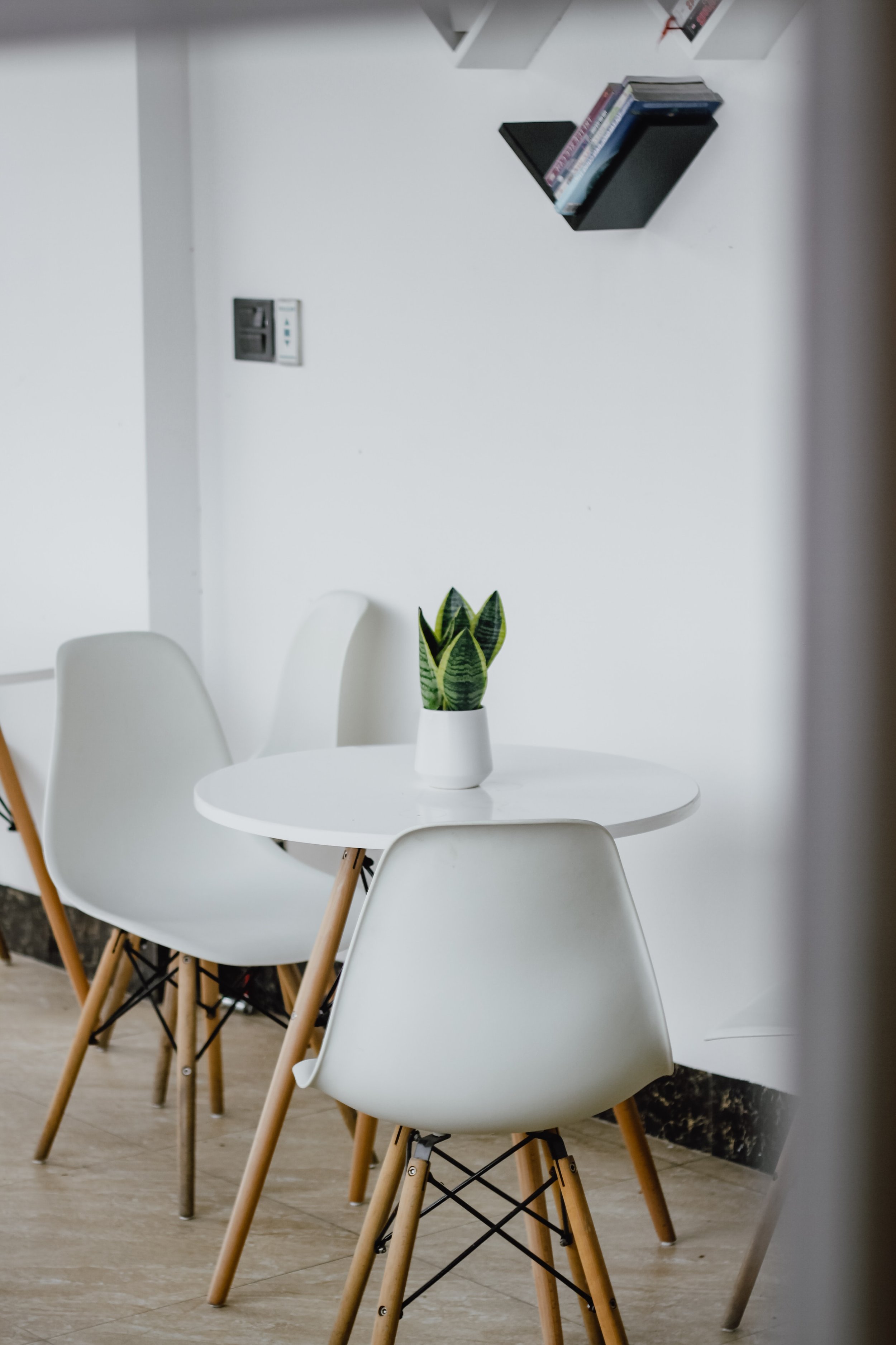 thomas-hoang-6qMwNURLyuM-unsplash.jpeg