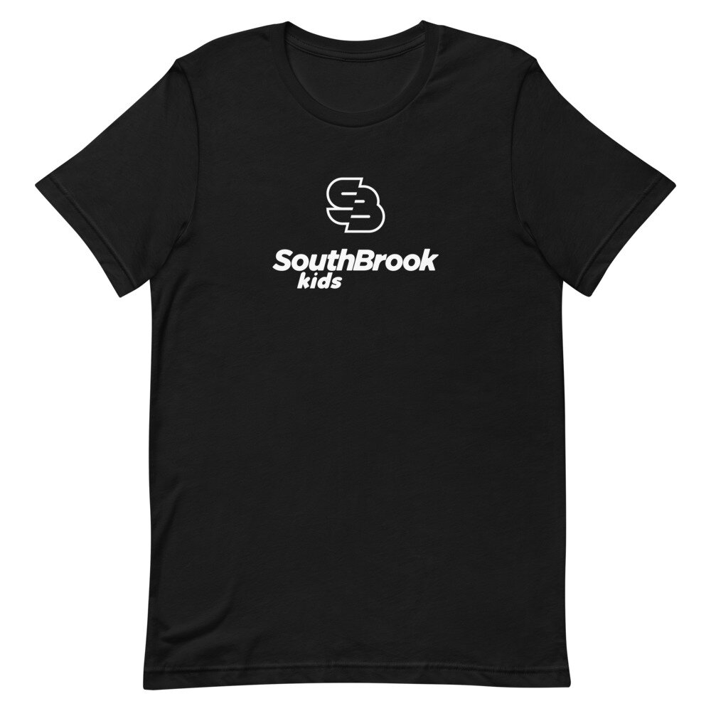 unisex-premium-t-shirt-black-front-60cbbf7ce41f2.jpg