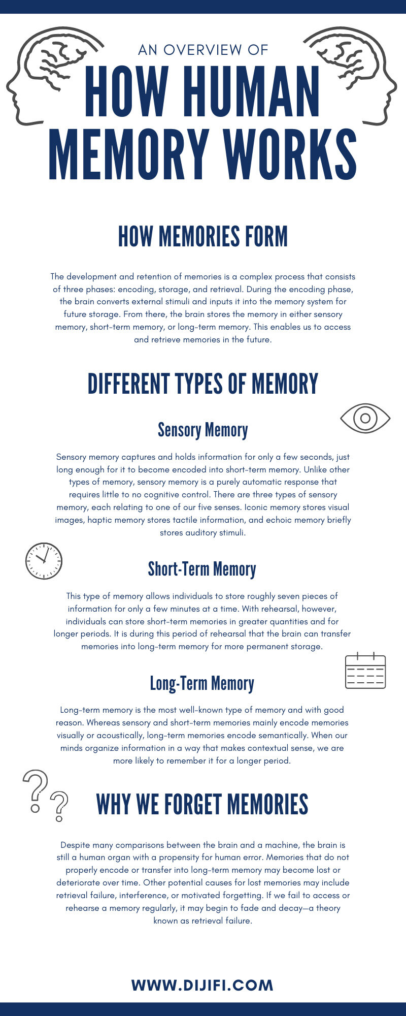 how human memory works essay
