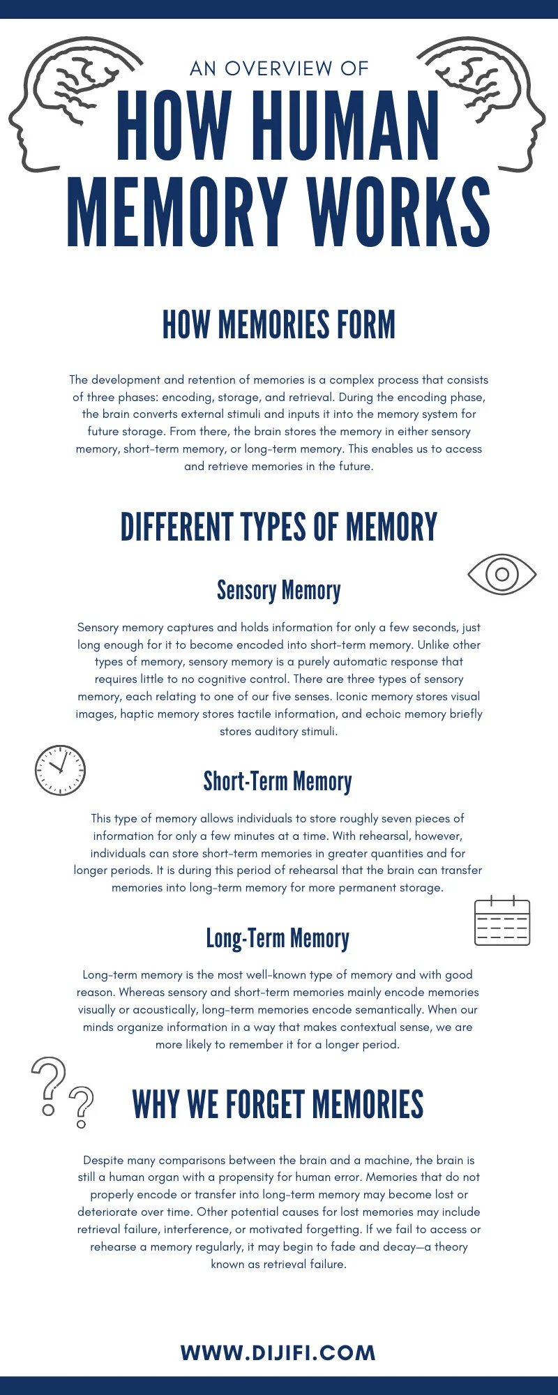 An Overview of How Human Memory Works