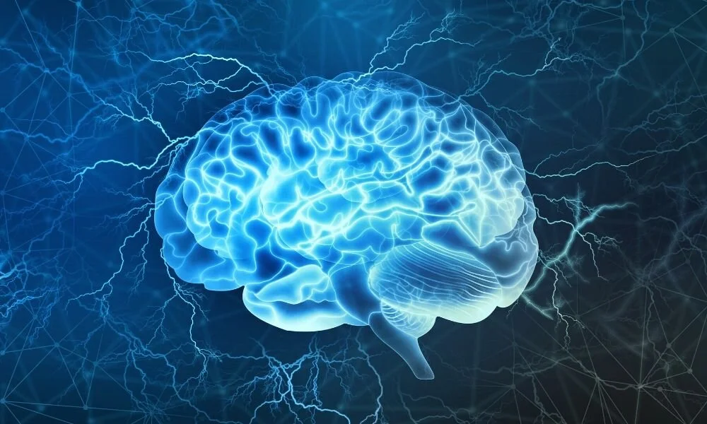 An Overview of How Human Memory Works