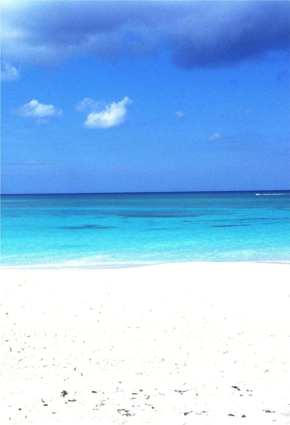 BLUE.png