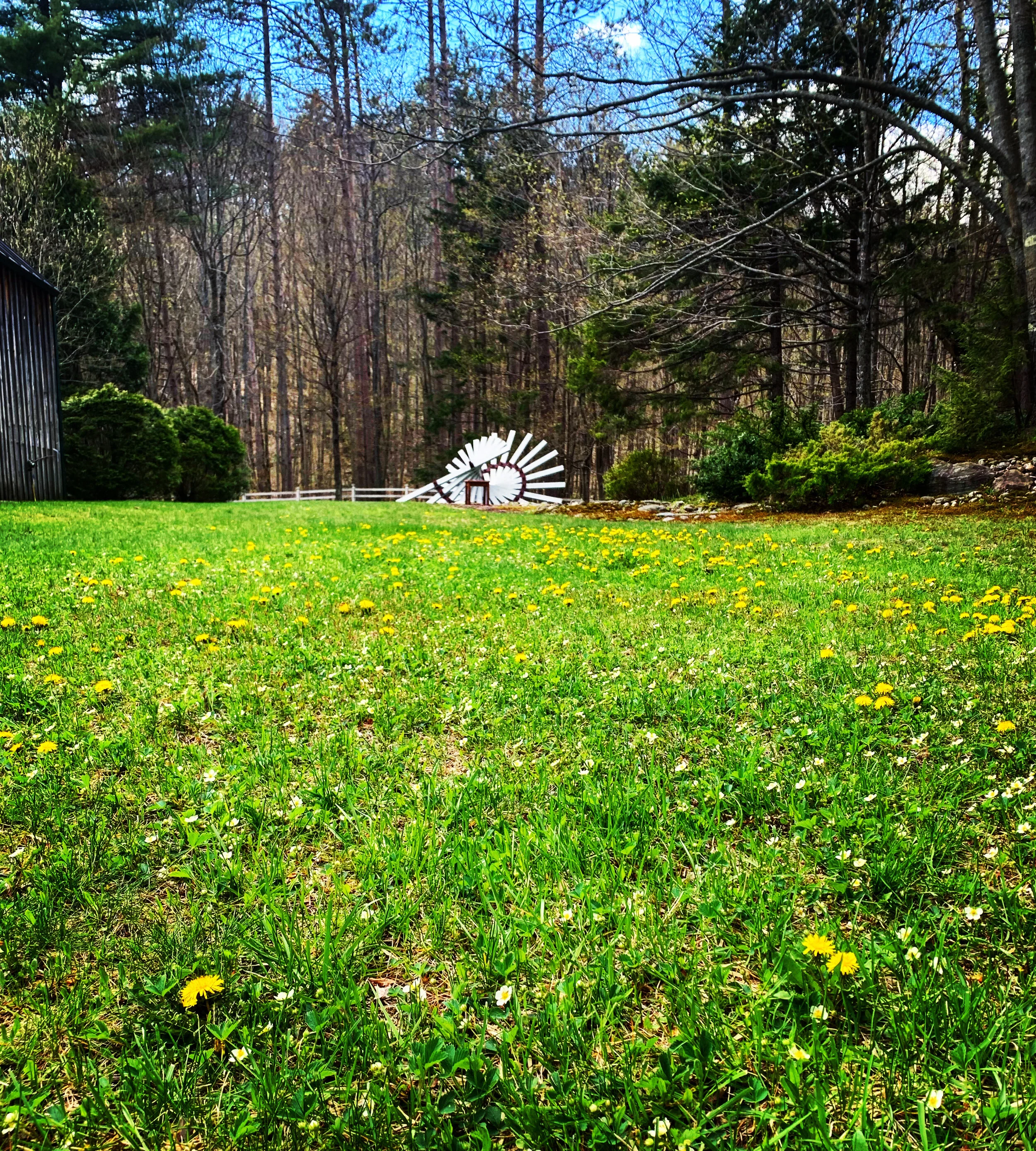 MUSING #6 : Word Choices - SHOULD 