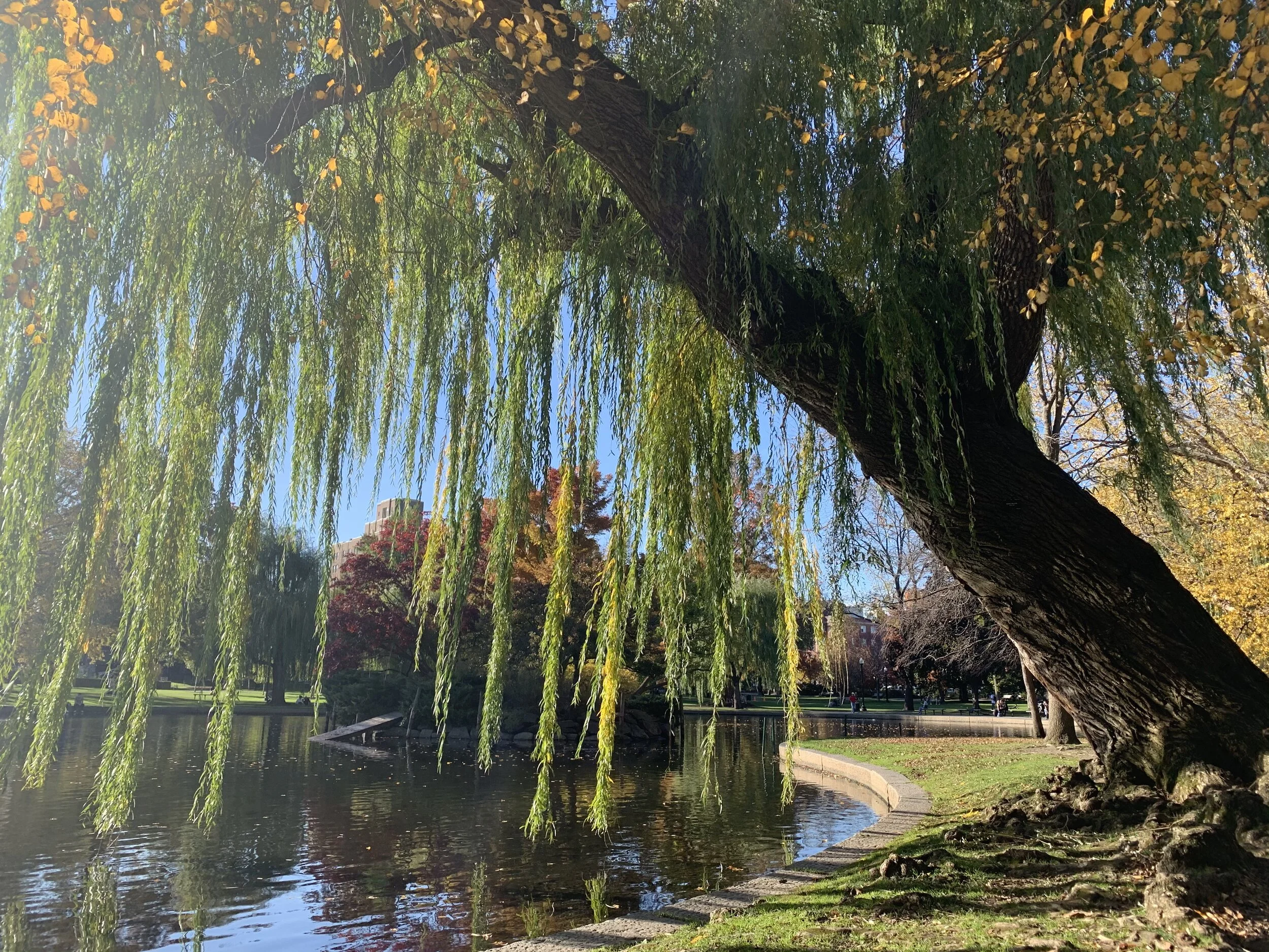 MUSING #19 : Prayer to the Muses 