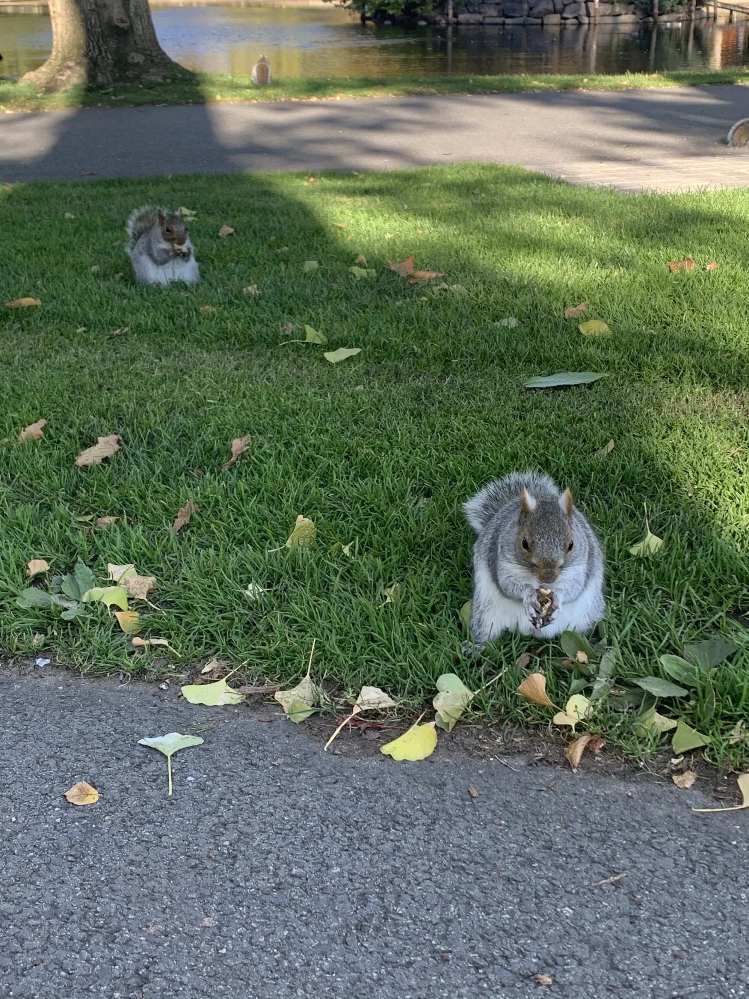 MUSING #24 - Reinterpreting Jealousy 