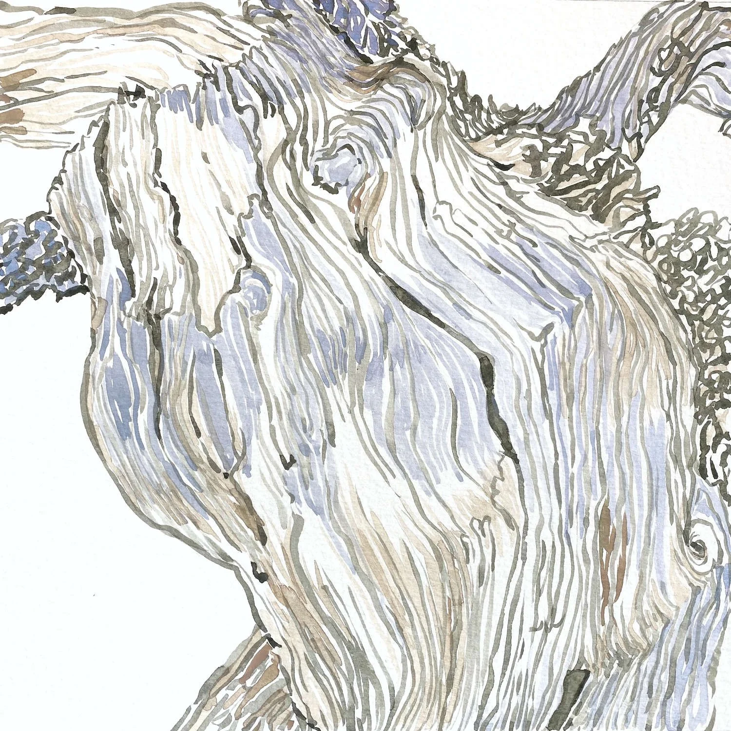 textures of the landscape julia hyde 12