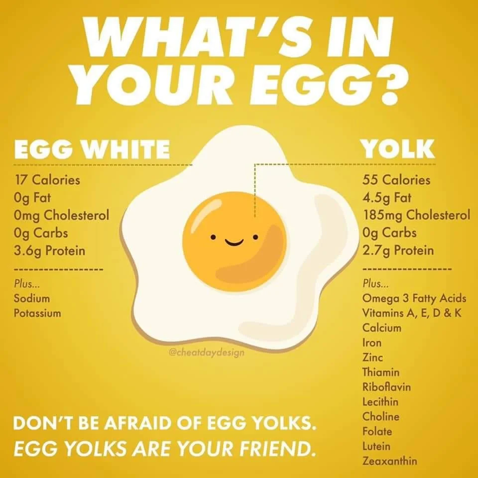 whats-in-your-egg.jpg