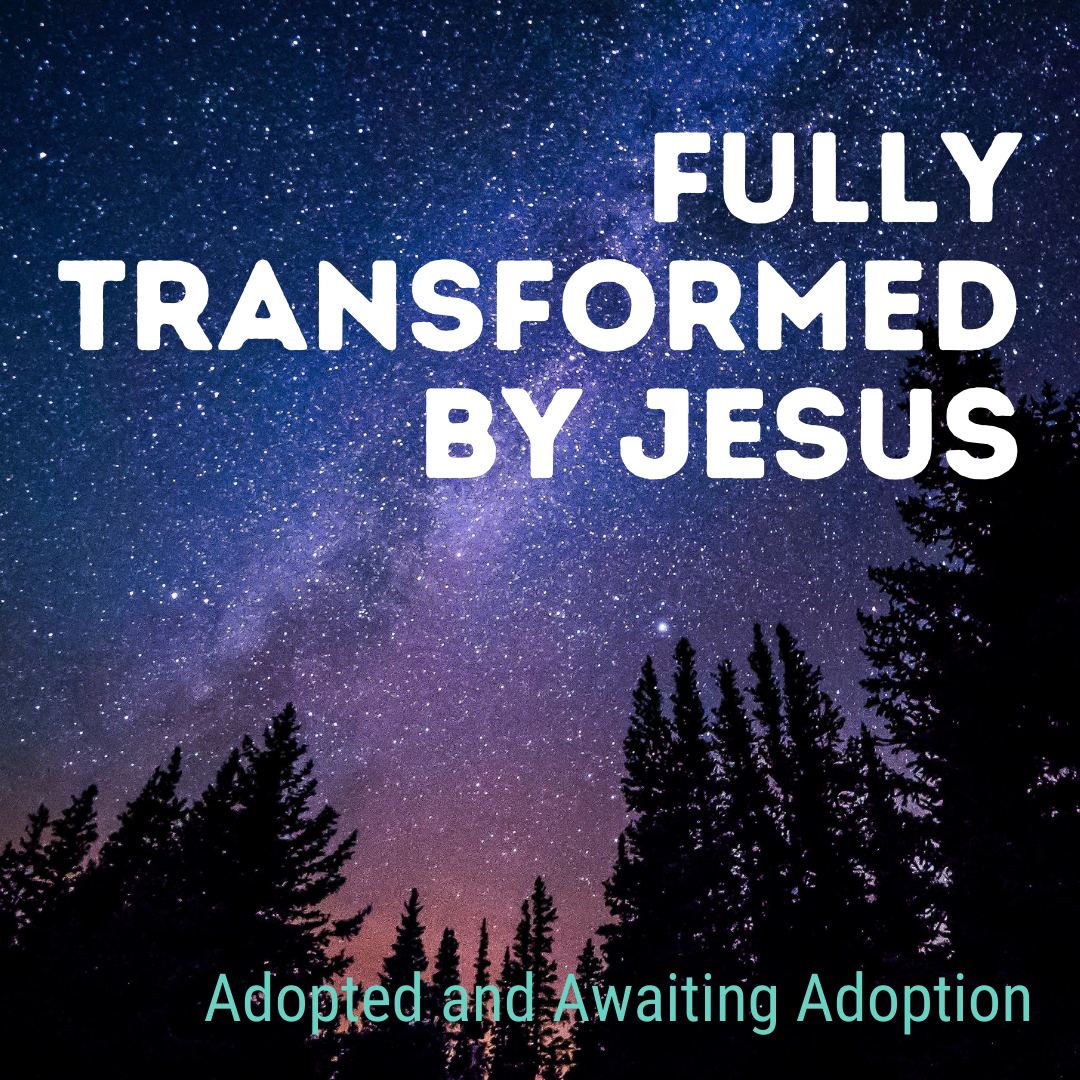 Fully Transformed By Jesus