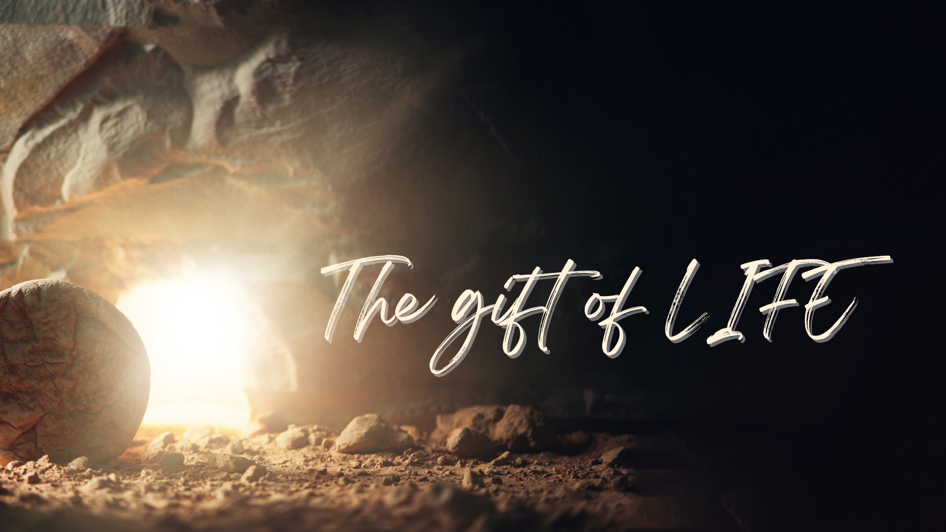 The gift of LIFE.png