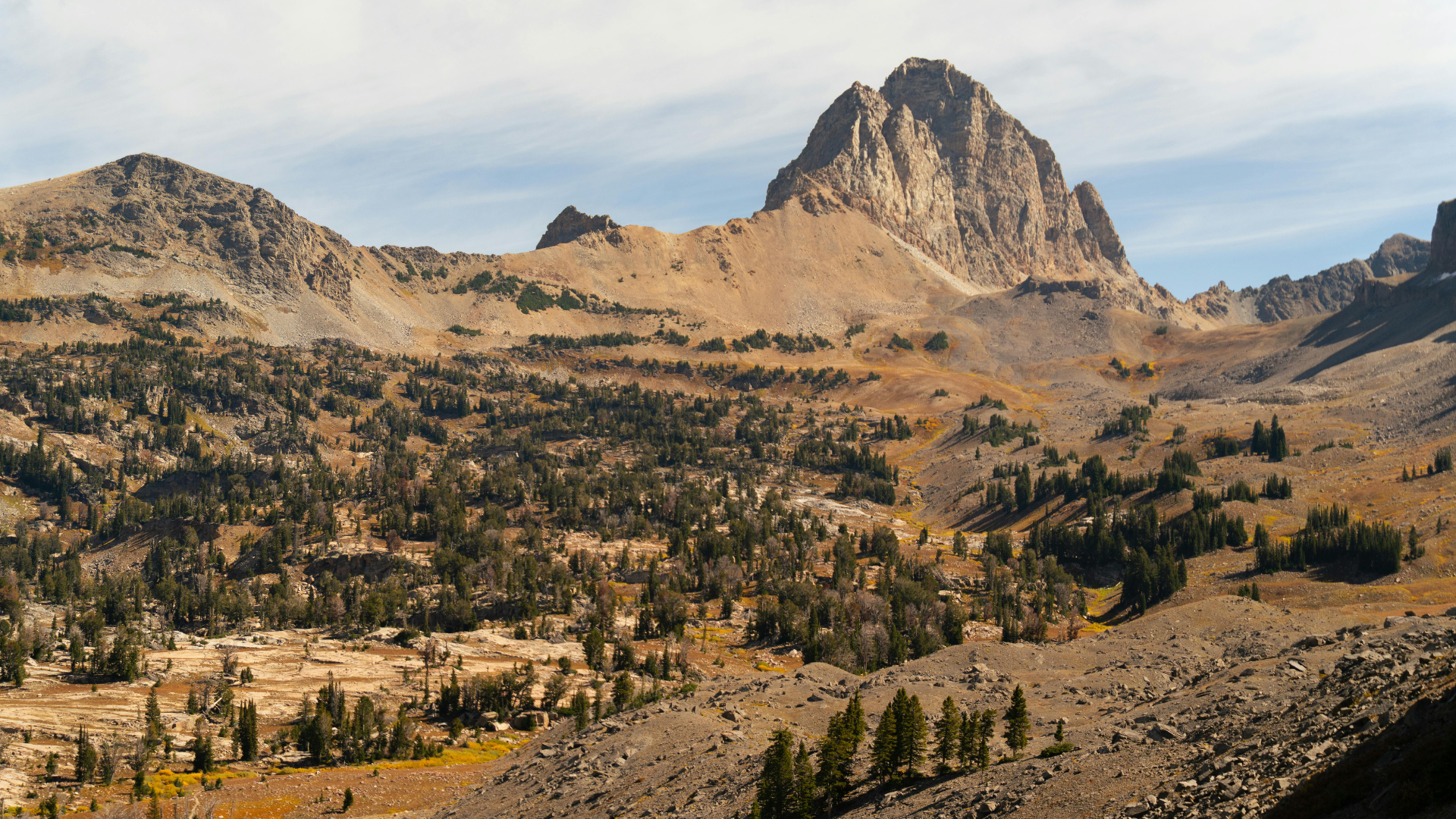 Lent  Bible reading (1).png