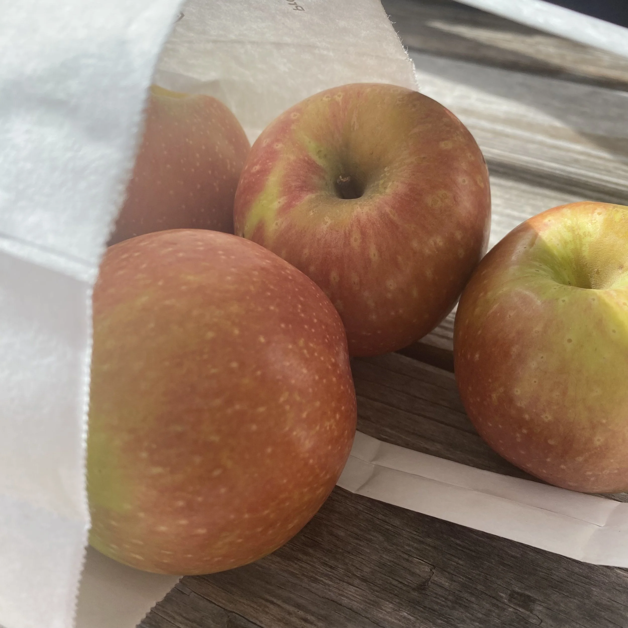 [2023] Fall Bucket List: Apple Picking Afternoon