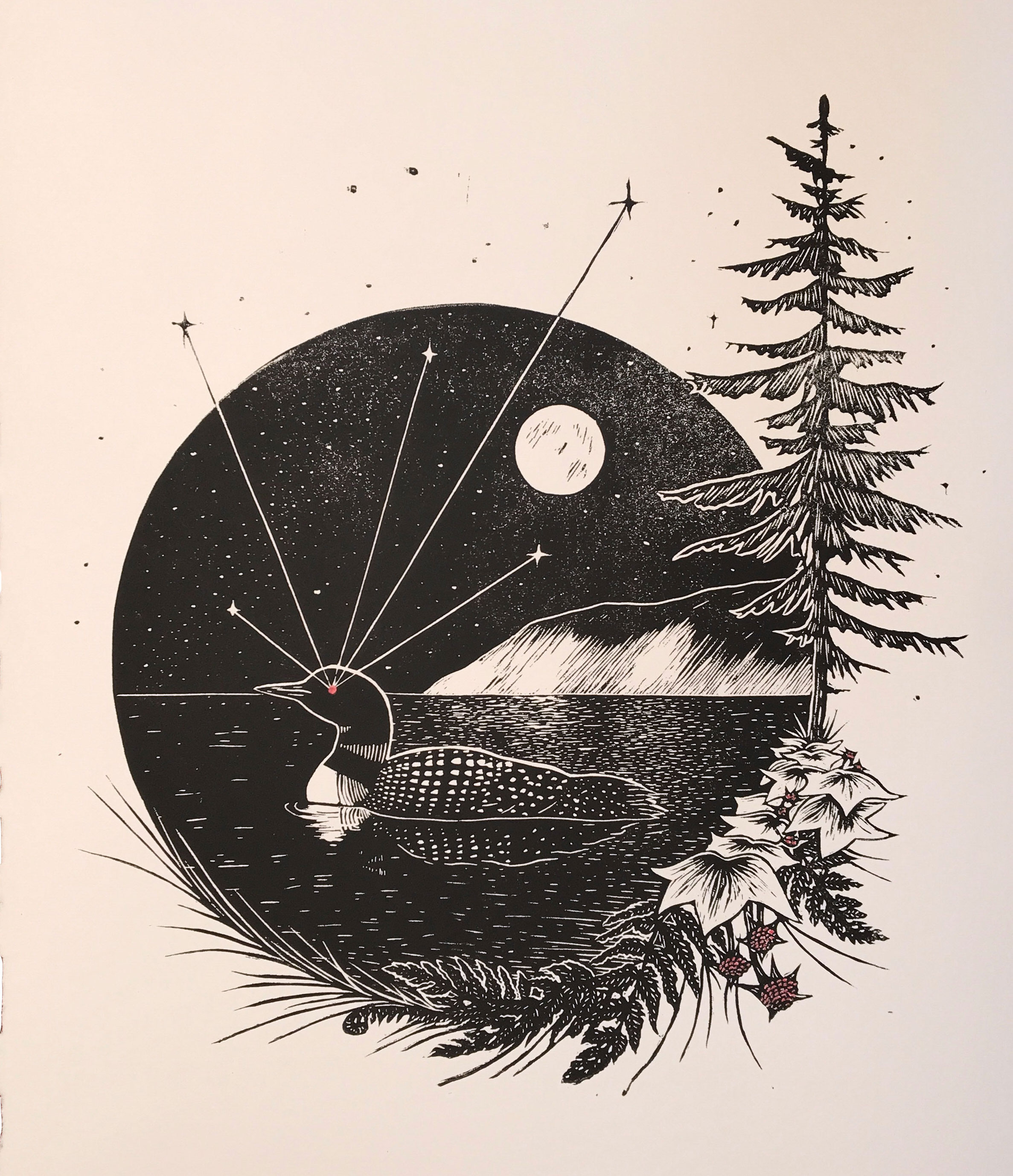 loon2.jpg