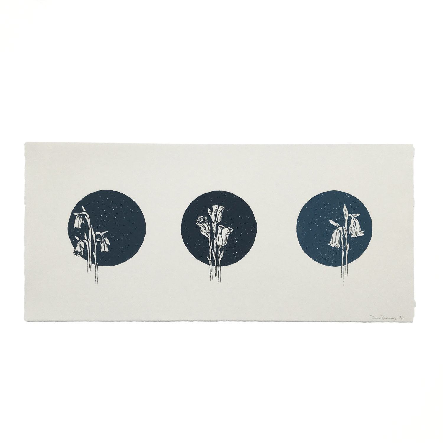 Ghost Flower Triptych - $395