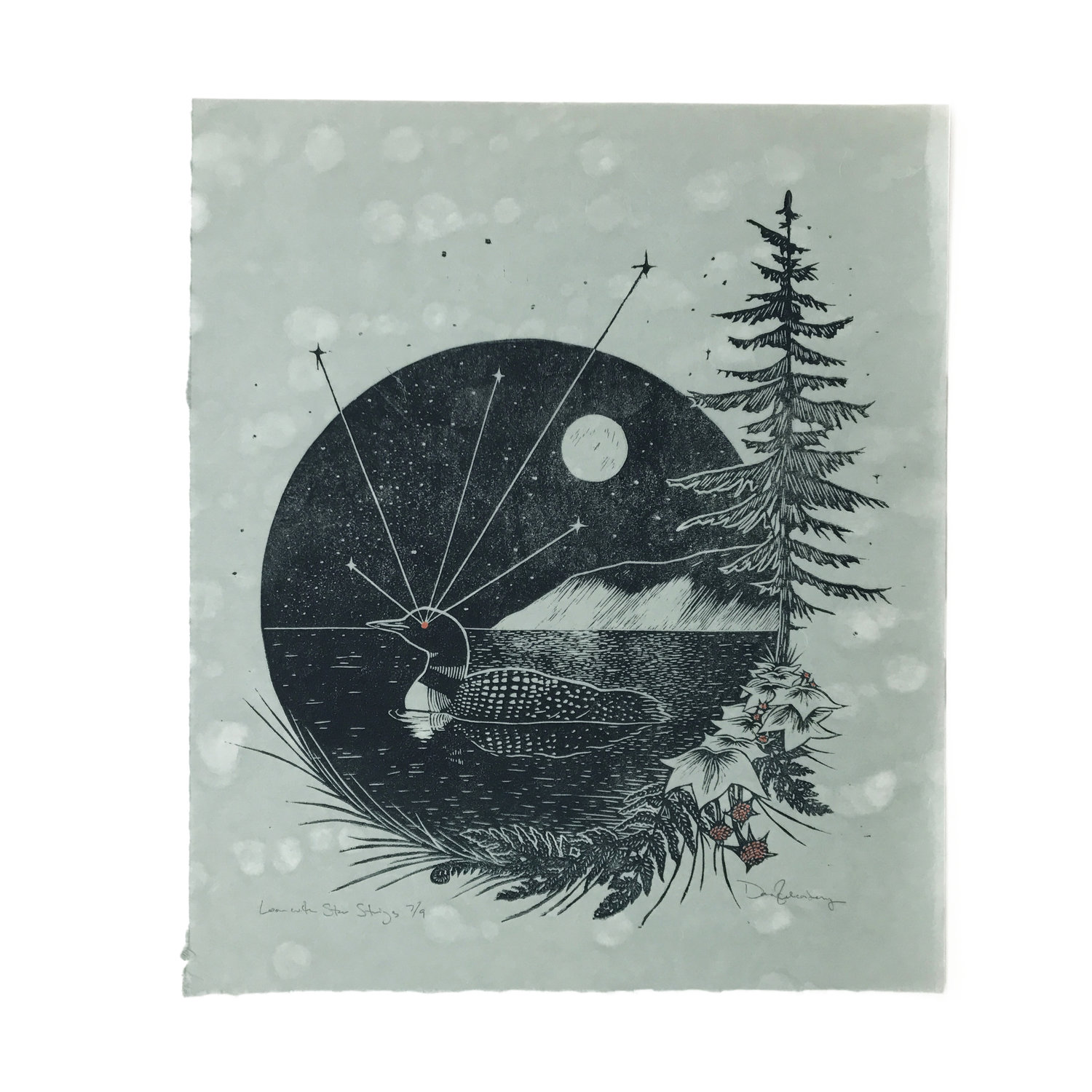 Michigan Loon - $250