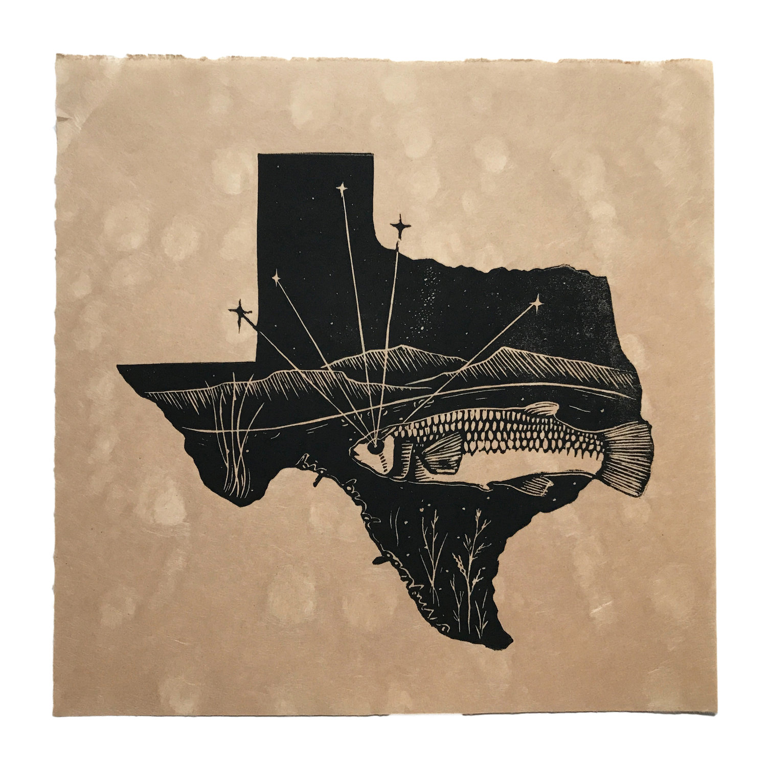 Then Come The Night - Big Bend Gambusia - $200