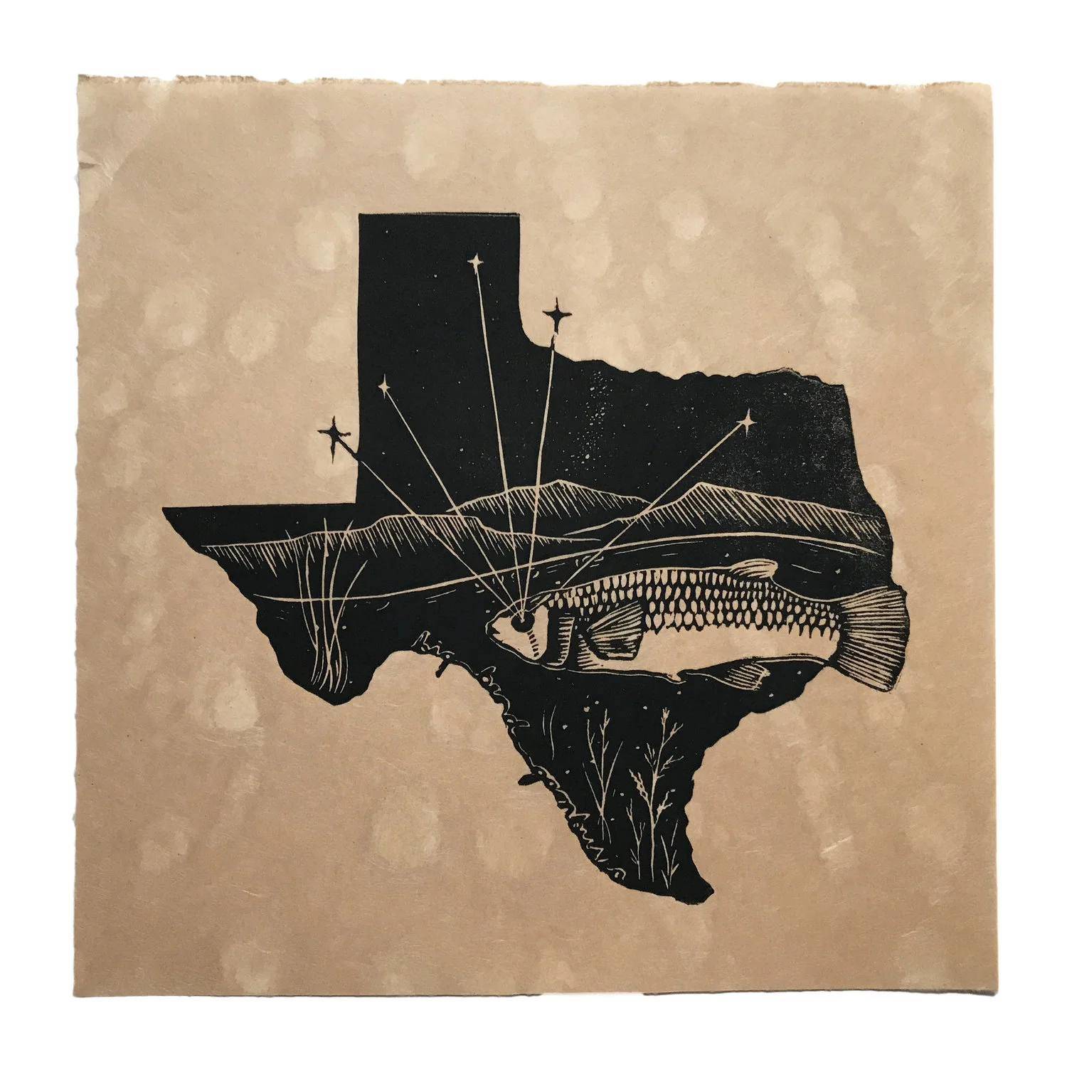 Then Come The Night - Big Bend Gambusia - $200
