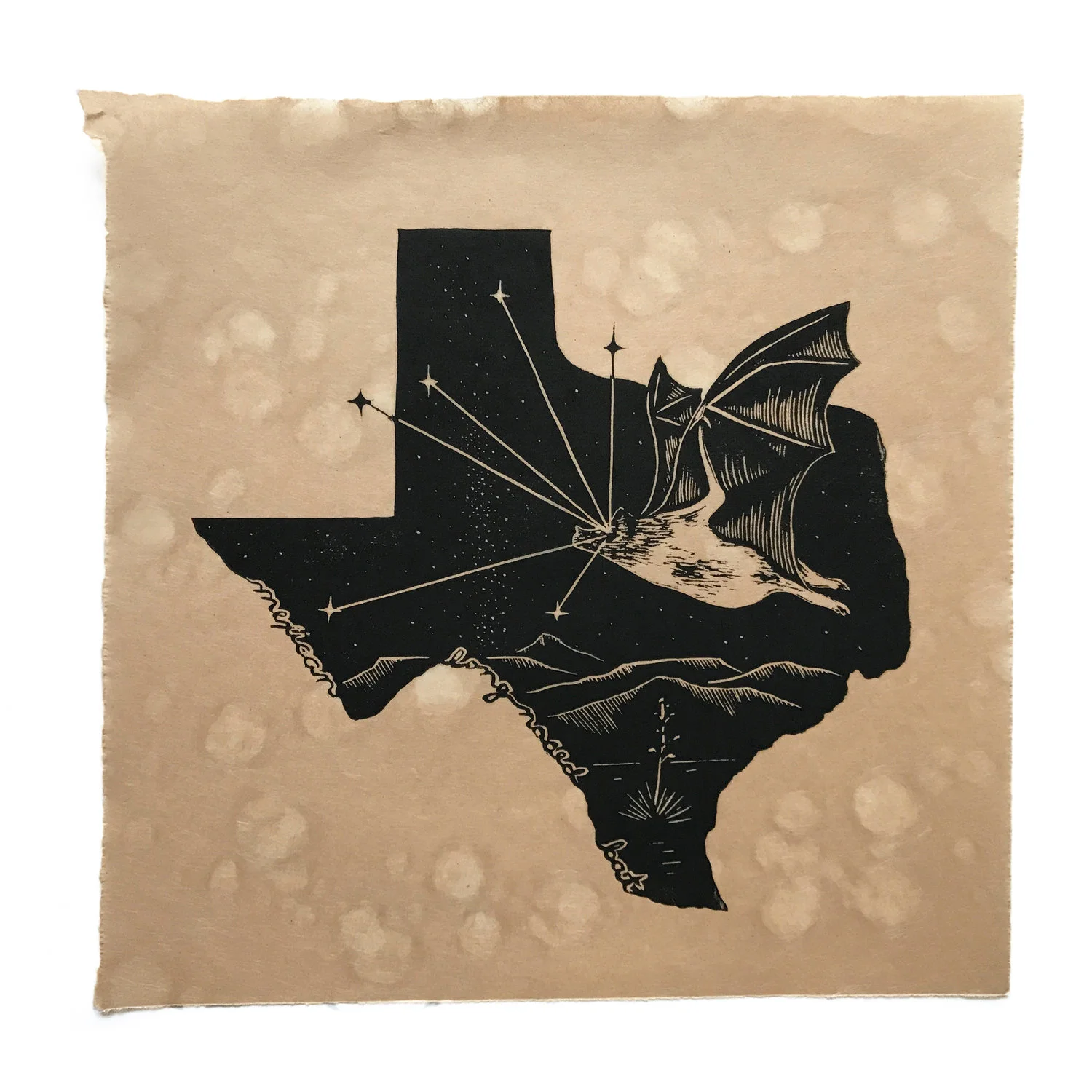 Then Come The Night - Mexican Long-Nosed Bat - $200