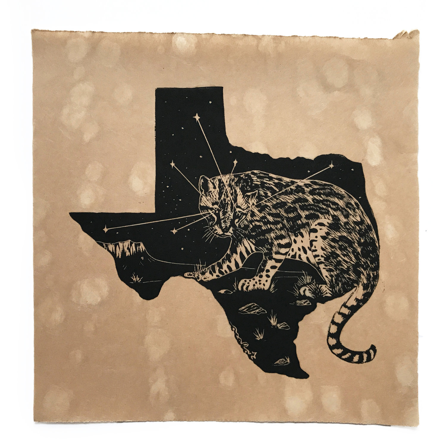 Then Come The Night - Ocelot - $200