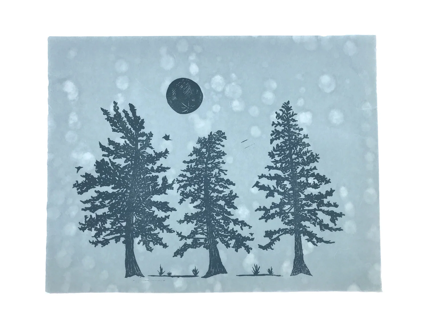 Alpine Cypress - $250