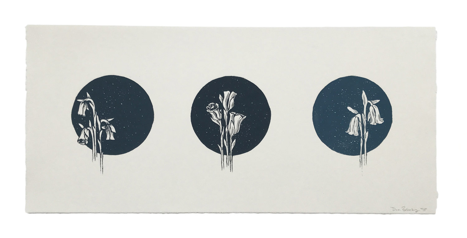 Ghost+Flower+Triptych_Header.jpg