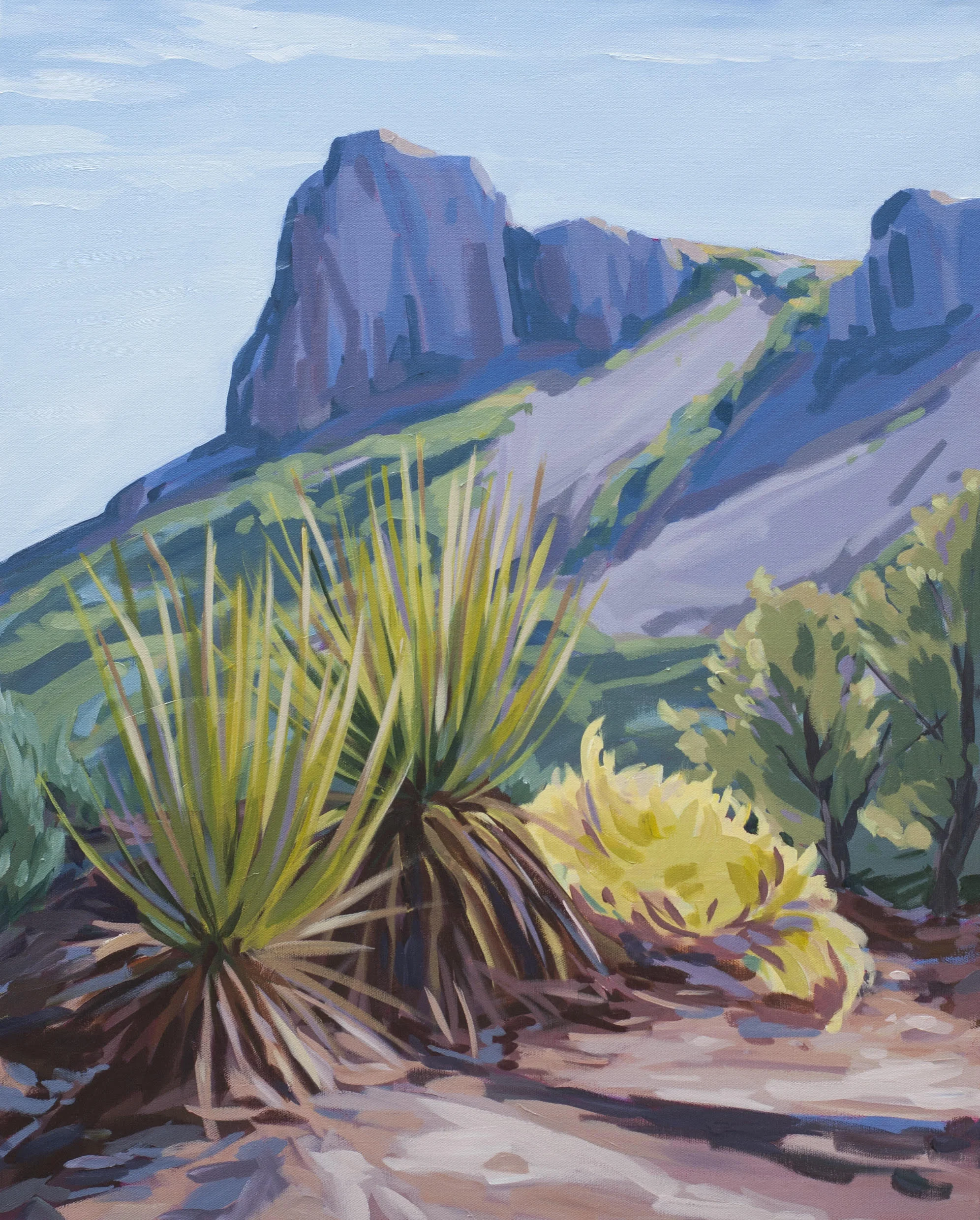 Midnight Yucca - SOLD