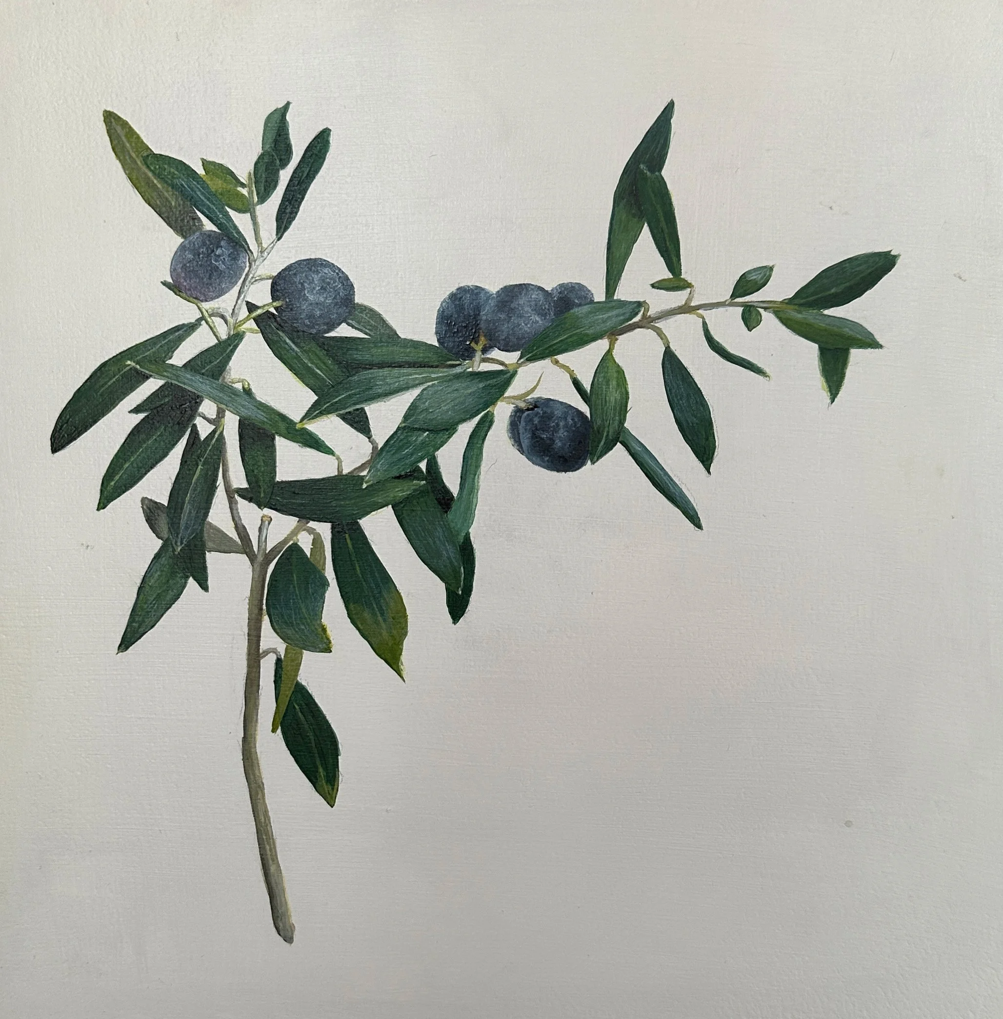 Olive Branch - $1,200