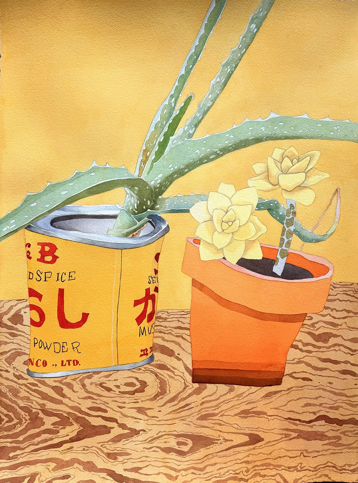 Jester Ghost Plant - $2,000