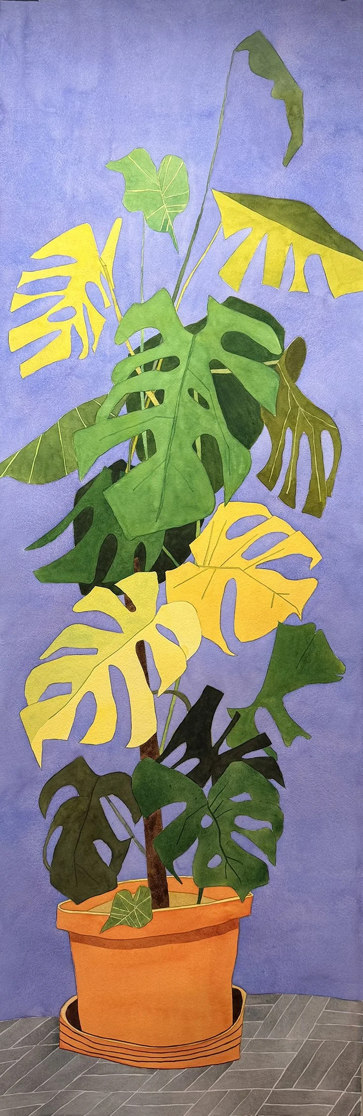 Monstera - $4,000