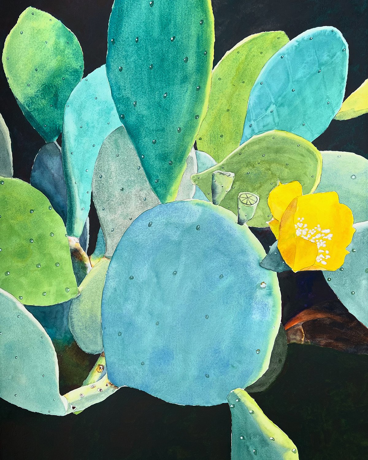 Spineless Prickly Pear - $2,000
