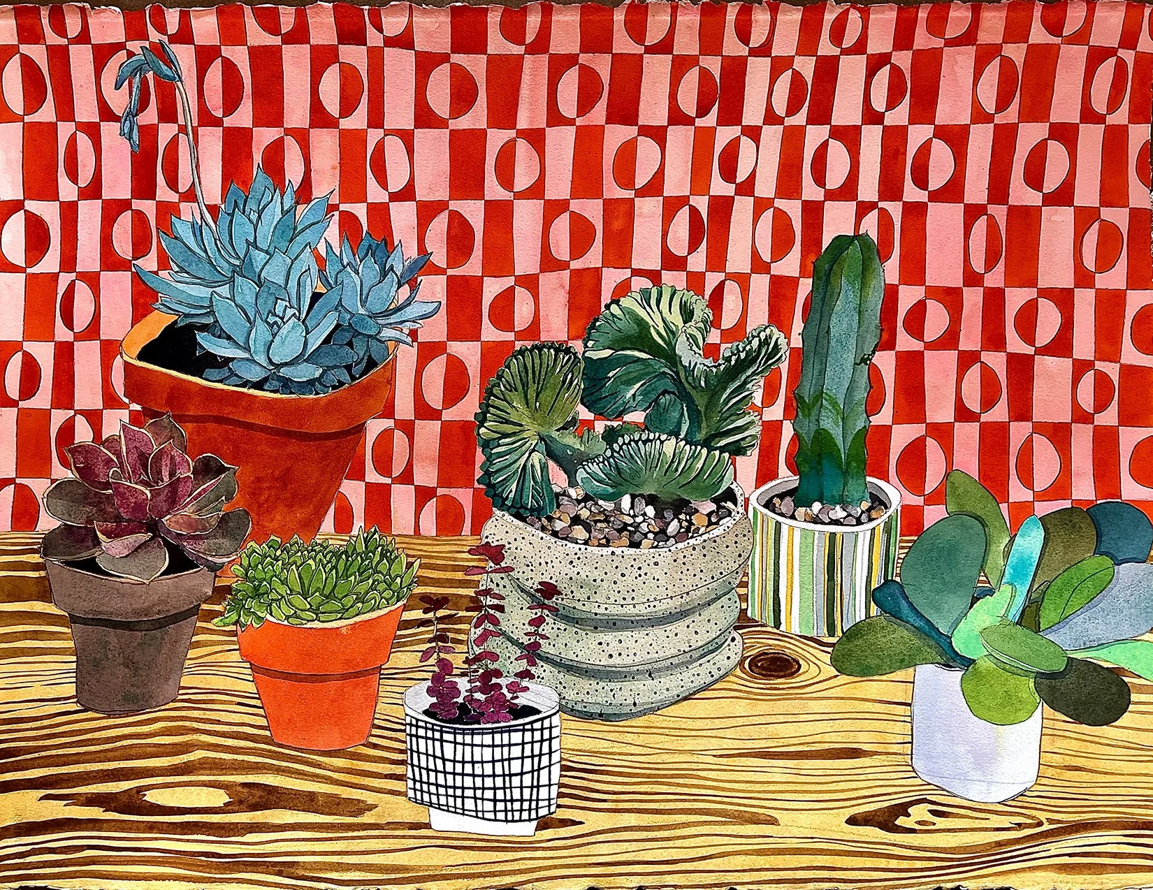 Seven Succulents - $2,000