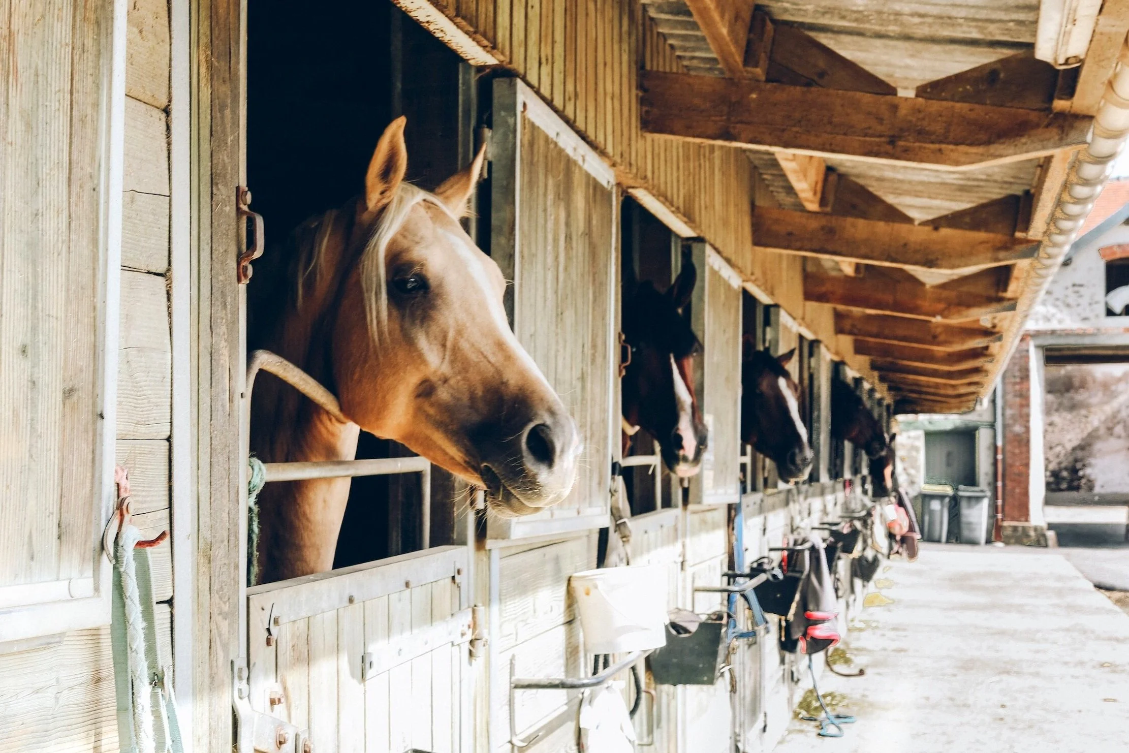 VERKAUFT Köln-Pulheim