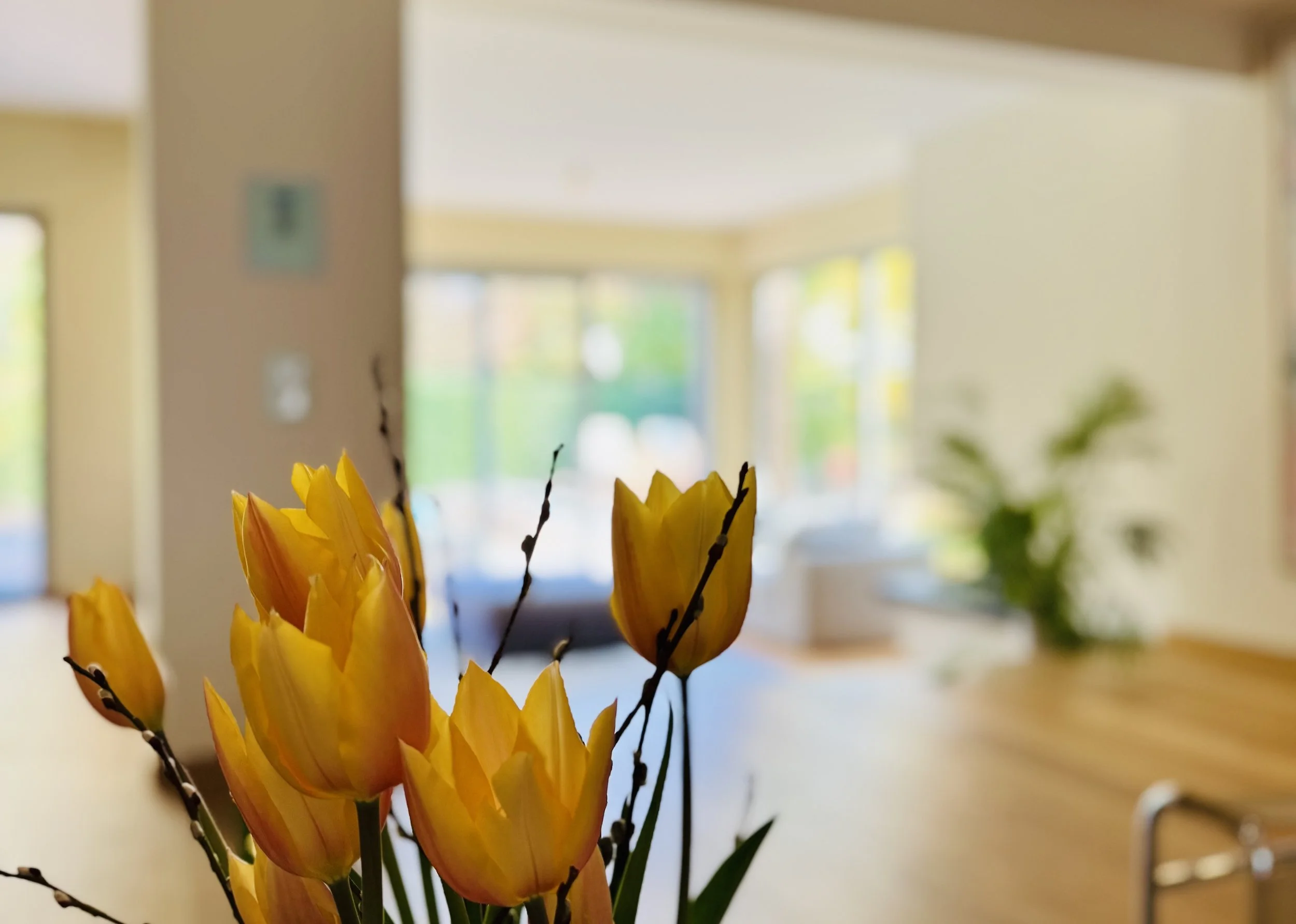 KAUF Köln-Junkersdorf