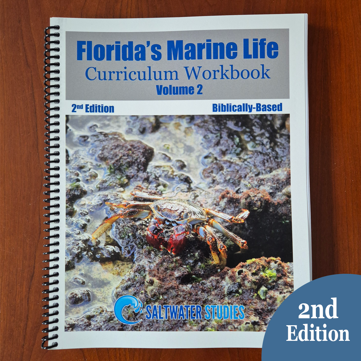 Website Graphics Workbook Vol 2 2 ed bb.png