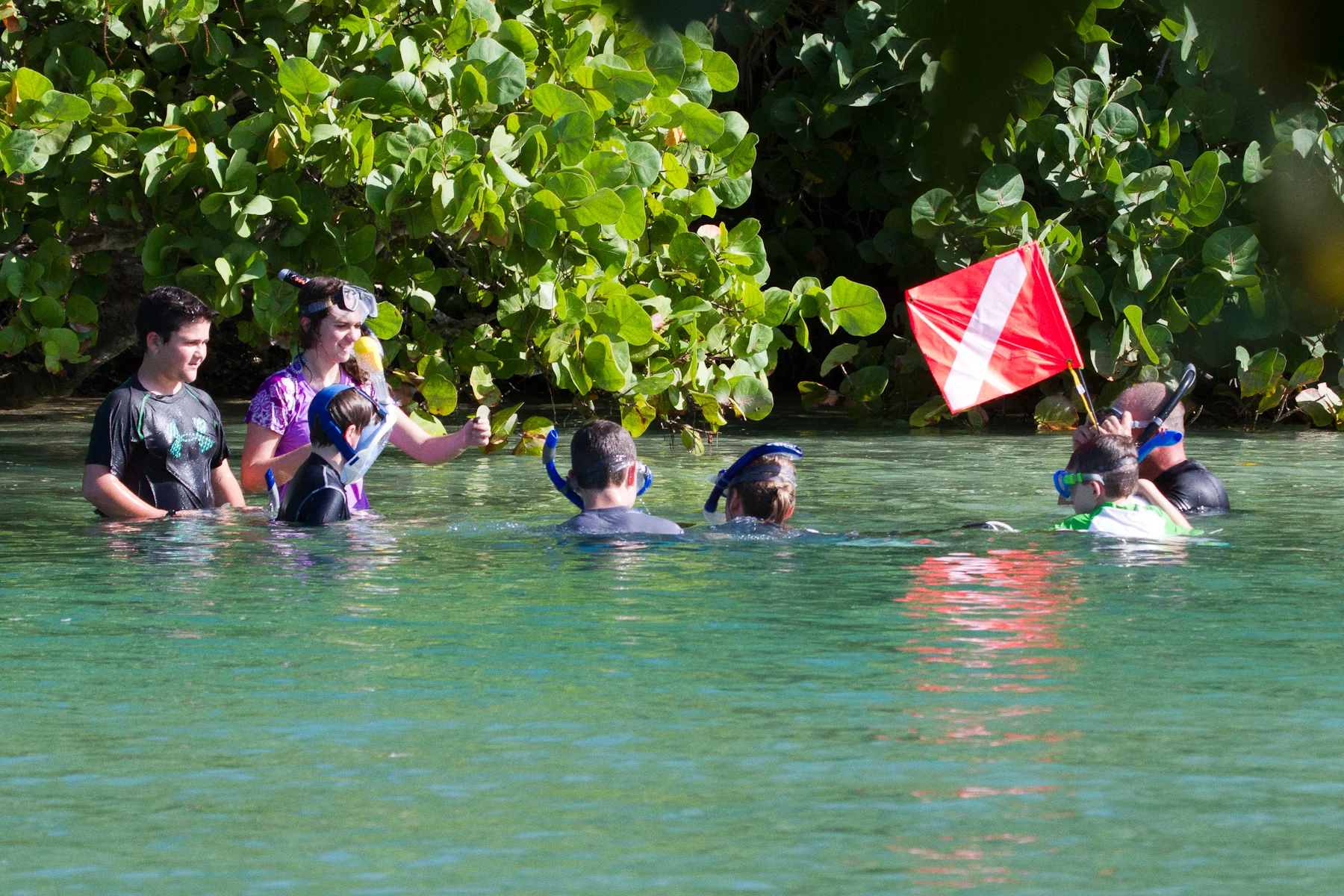 Introduction to Snorkeling