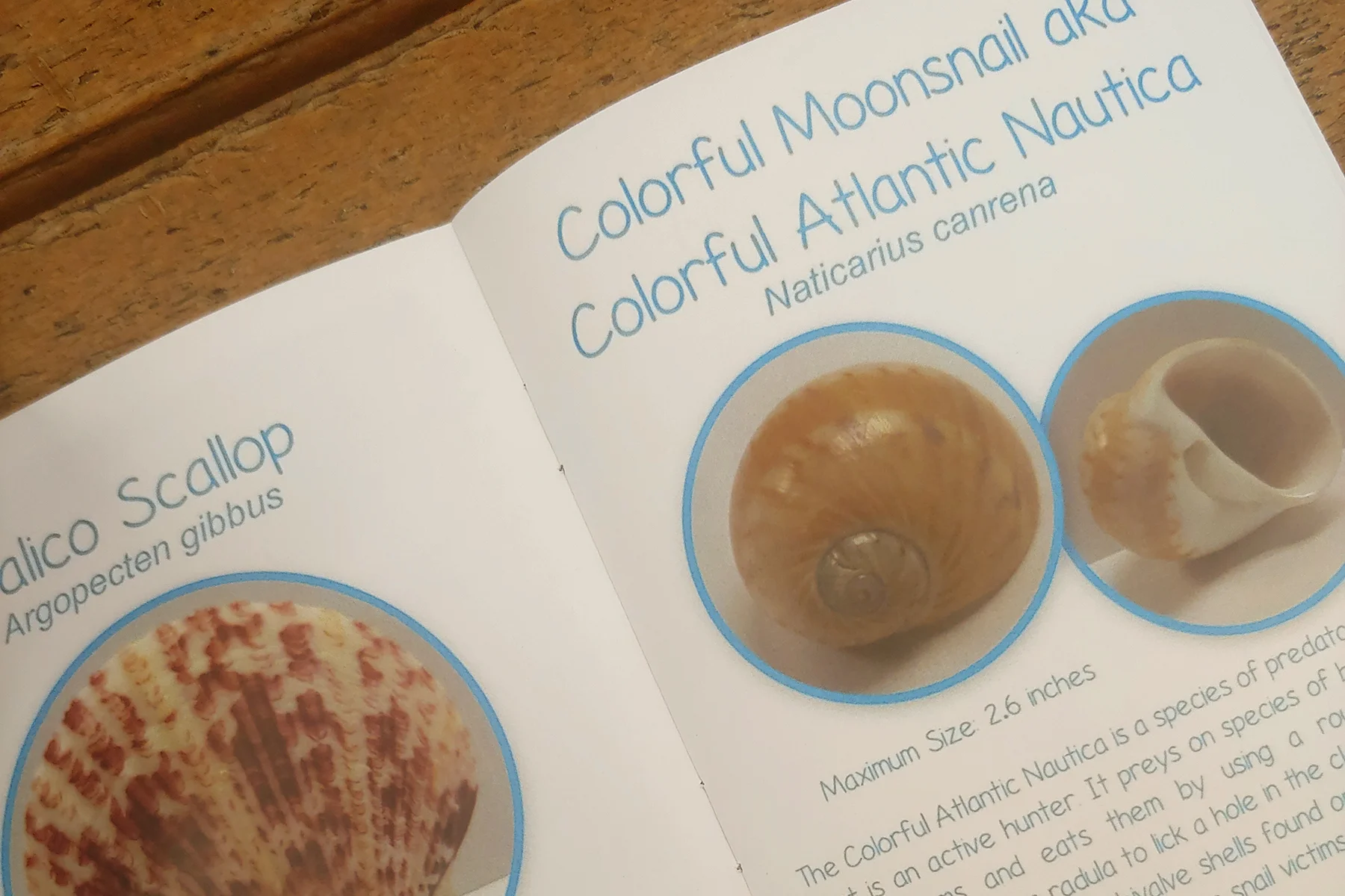 Kit Booklet.jpg