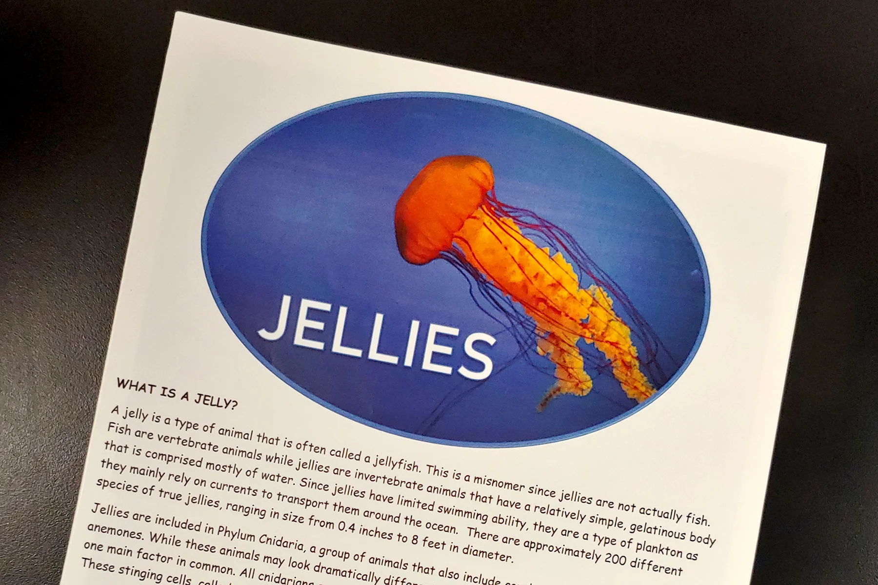 Jellies.jpg