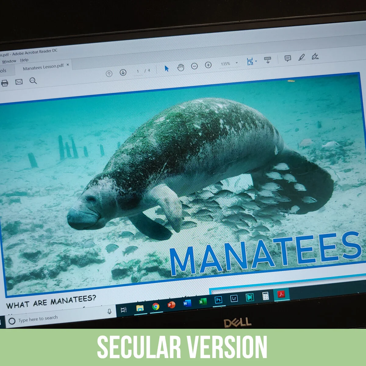 Manatee PDF.jpg