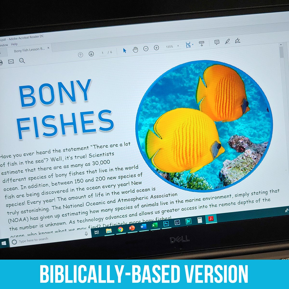 Bony Fish PDF BB.jpg