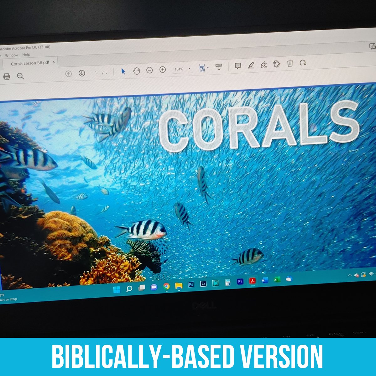 Corals PDF BB.jpg