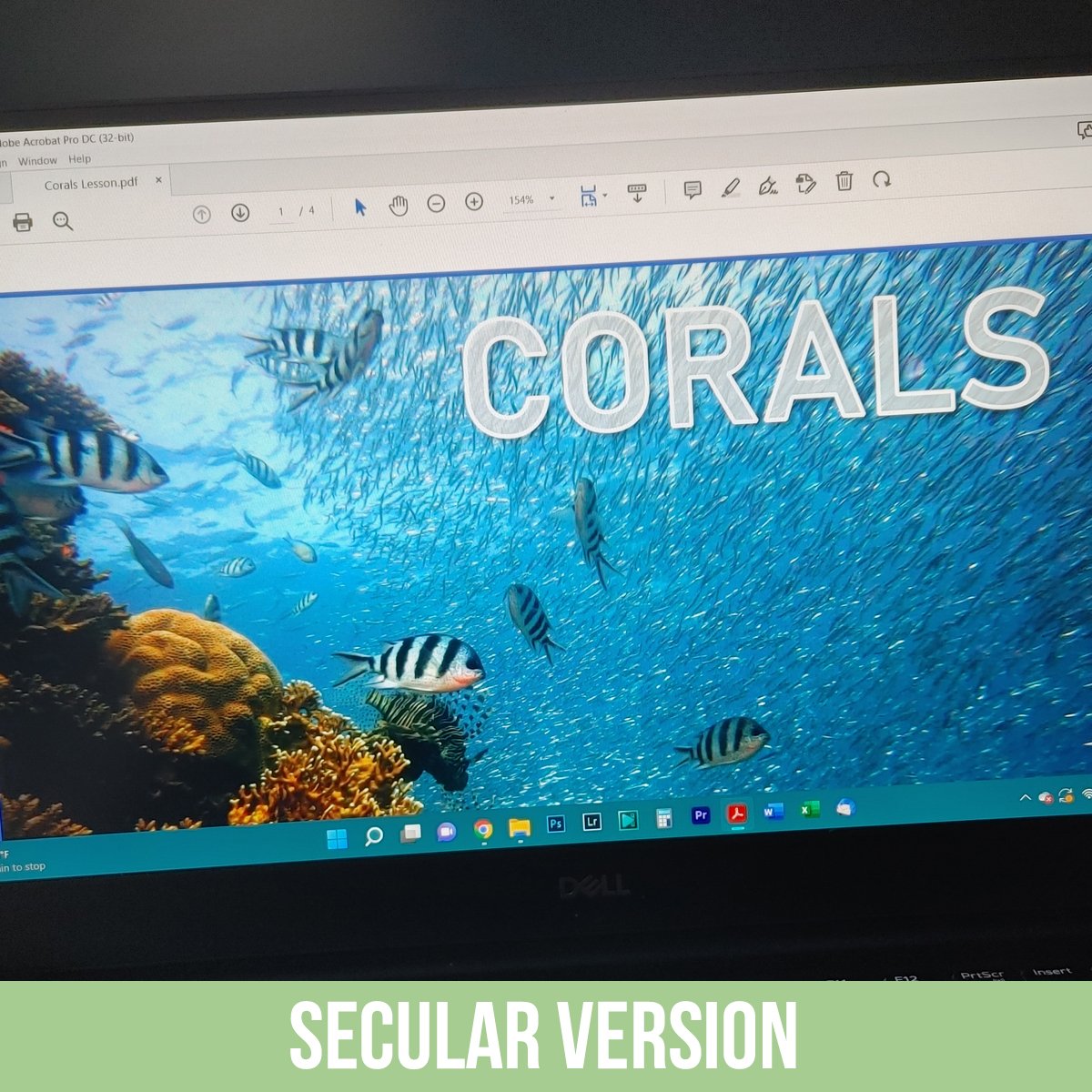 Corals PDF.jpg