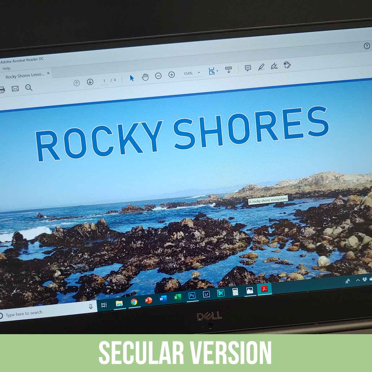 Rocky Shores PDF.jpg