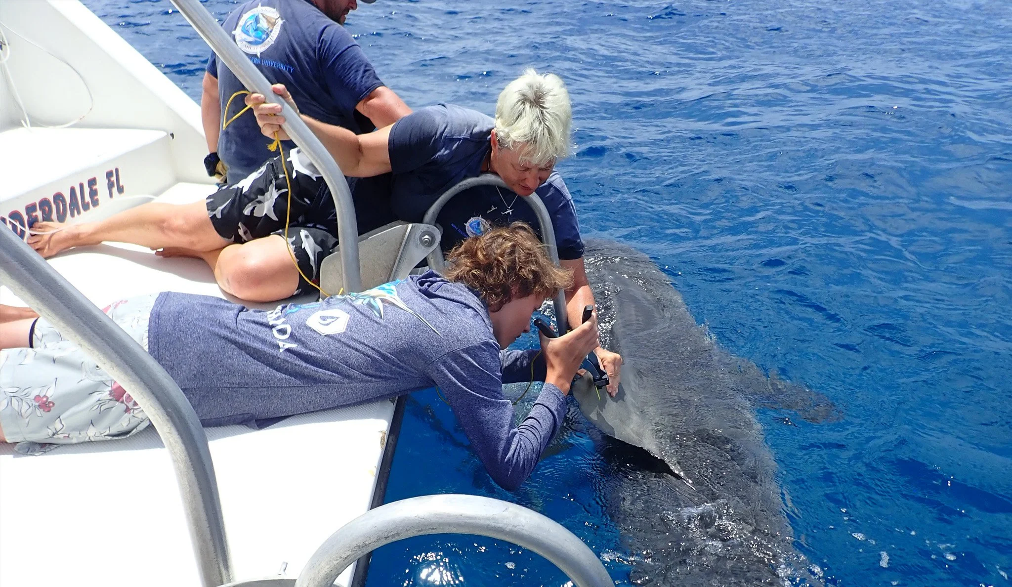 Shark Tagging Excursion